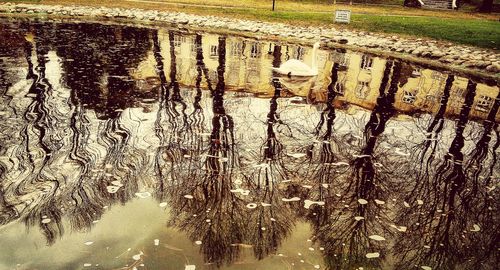 Reflection of puddle in water