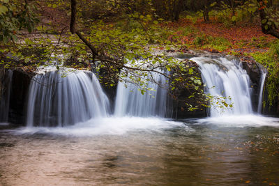 Scenic view of waterfall in forest