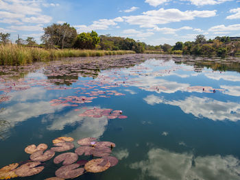 Scenic view of lake against sky