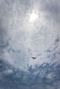 Low angle view of airplane flying in sky on sunny day