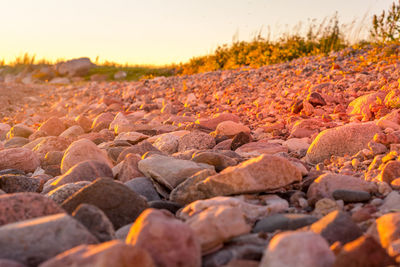 Close-up of pebbles in water