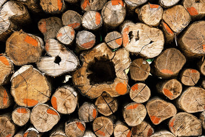 Full frame shot of logs in forest