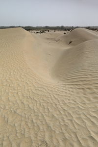 Sand dunes in desert against sky