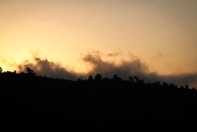 Silhouette trees against sky during sunset