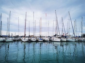 Boats moored at harbor