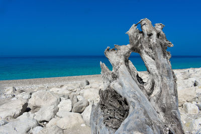 Driftwood on beach against clear blue sky