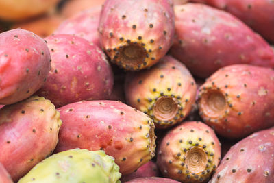 Group of prickly pears cactus, mediterranean fruit in a street food market, close up
