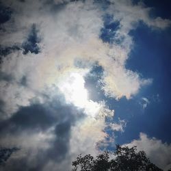 Low angle view of tree against sky