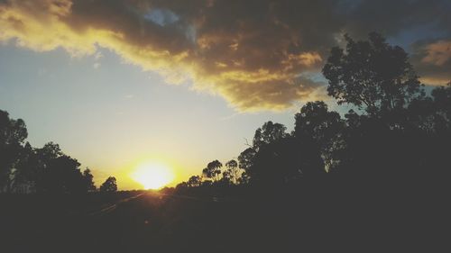 Silhouette trees against sky during sunset