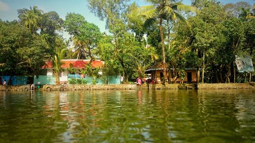 People on water against trees