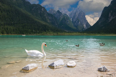 Scenic view of lake against mountain