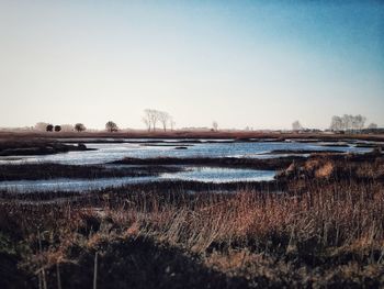 Scenic view of lake against clear sky during winter