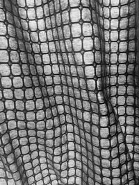 Full frame shot of an animal