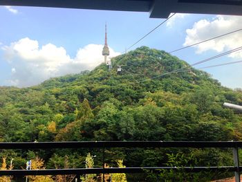 View of trees on mountain