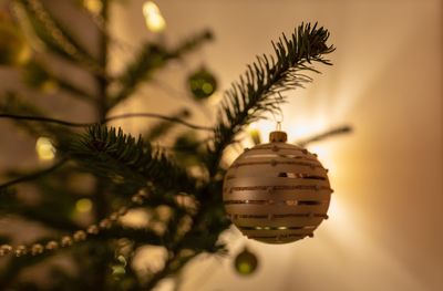 Close-up of christmas decoration hanging on tree