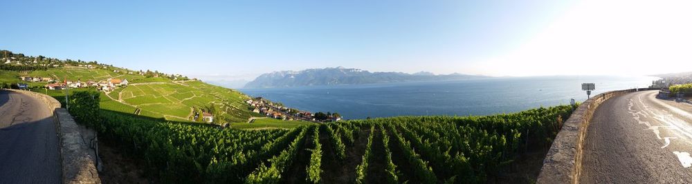 View of road along trees