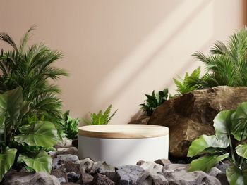 Empty stack podium in tropical forest for product presentation on cream color.3d rendering