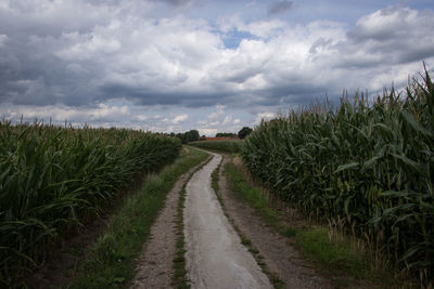 Road amidst agricultural field against sky