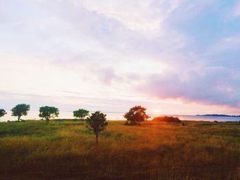 Scenic view of landscape against cloudy sky