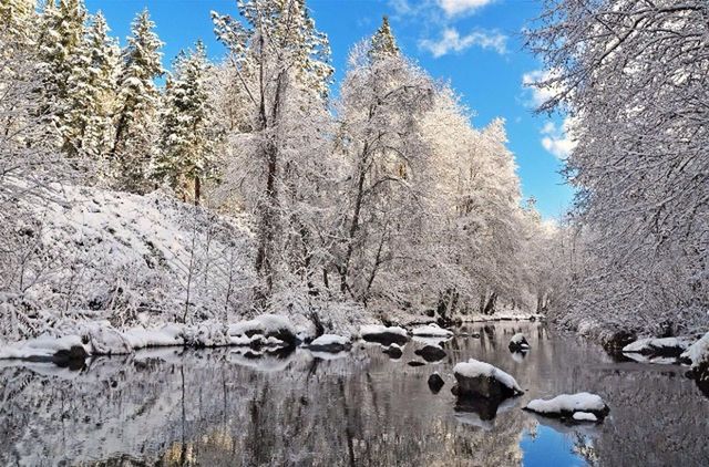 tree, water, tranquility, tranquil scene, nature, scenics, beauty in nature, mountain, blue, sky, rock - object, lake, river, branch, non-urban scene, day, rock formation, forest, landscape, bare tree