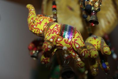 Close-up of multi colored hand