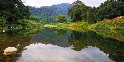 Reflection of trees in lake against sky