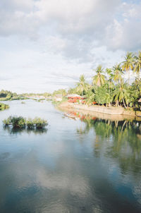 Scenic view of palm trees on shore against sky