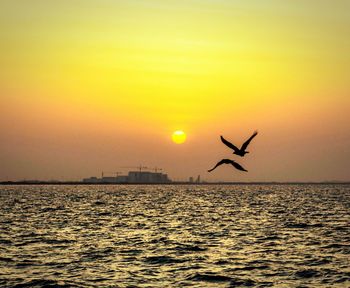 Silhouette of bird flying over sea during sunset