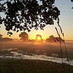 Sun shining through landscape