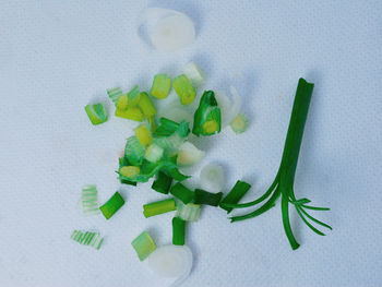 High angle view of vegetables on white table