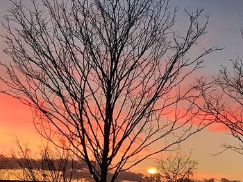 Low angle view of silhouette bare tree against romantic sky