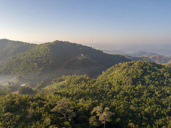 High angle view of trees in forest against sky