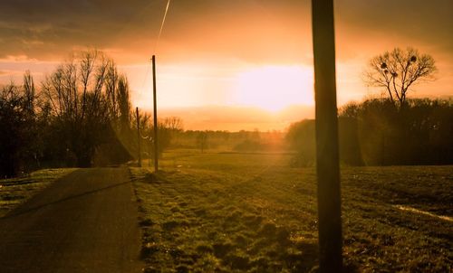 Scenic view of trees against sky during sunset