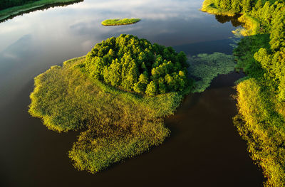 Island in the lake from above
