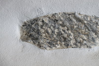 Close-up of rock on floor