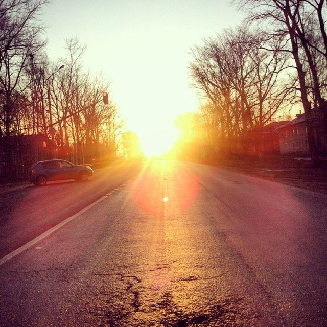 transportation, sun, tree, sunset, road, the way forward, bare tree, sunlight, car, lens flare, land vehicle, sunbeam, street, clear sky, mode of transport, diminishing perspective, vanishing point, silhouette, sky, nature