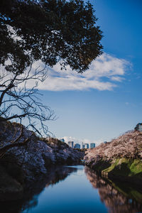 Reflection of trees and buildings against sky