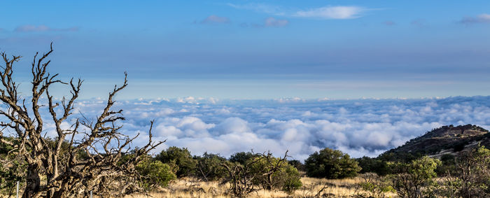 Scenic view of landscape against cloudy sky