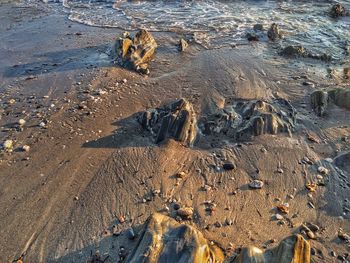 High angle view of beach