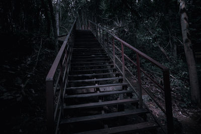 Low angle view of staircase in forest