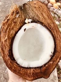 High angle view of fresh coconut half
