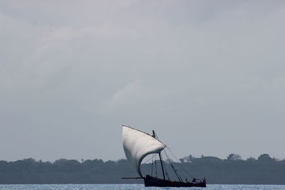 Sailboat sailing on sea against sky