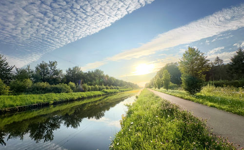 Road amidst trees against sky