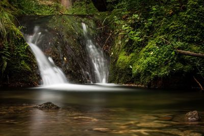 View of waterfall in forest
