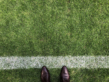 Low section of person standing on field