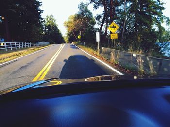 Road passing through forest