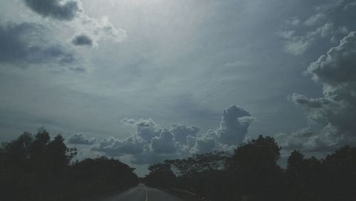 Low angle view of trees against sky