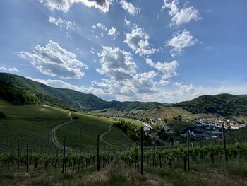 Scenic view of agricultural field against sky