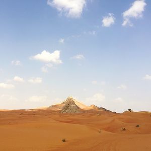 Scenic view of desert