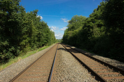 Railway tracks amidst trees against sky